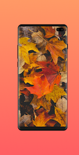 Autumn Wallpaper HD 4K & Live