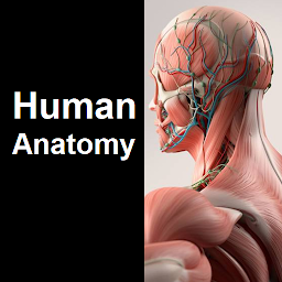 Image de l'icône Human Anatomy Quiz