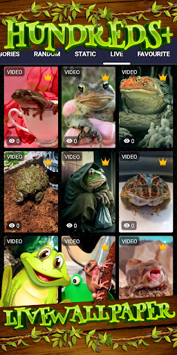 frog wallpaper Screen 3