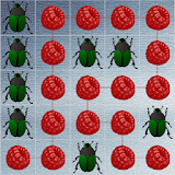Berry puzzle icon
