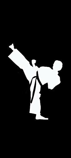 Download Karate Wallpaper 4K Free for Android - Karate Wallpaper 4K APK  Download 