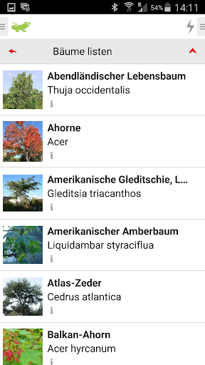 Bäume und Sträucher Screen 2