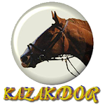 Cover Image of Download KAZAKDOR  APK