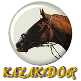 KAZAKDOR icon