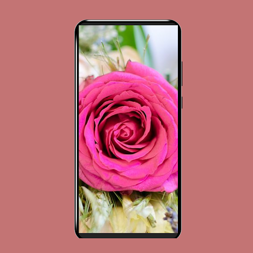 Android application خلفيات ورد screenshort
