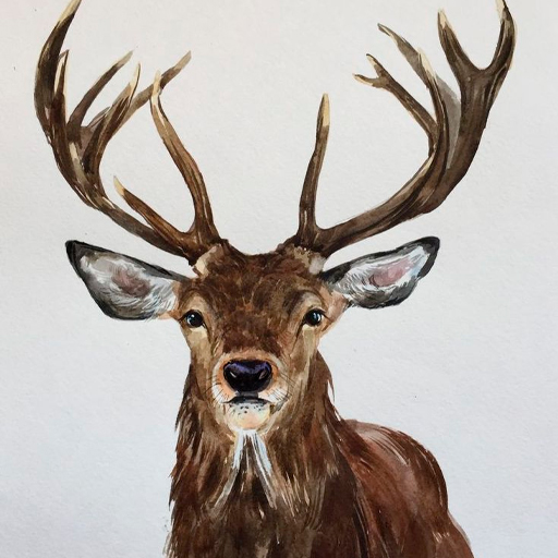 Beautiful Deer Wallpapers logo