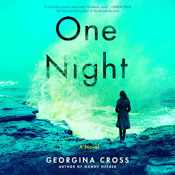 Icon image One Night: A Novel