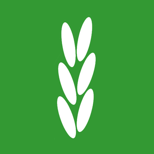 گیلان کشت logo