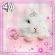 Bunny Princess Live Wallpaper Unduh di Windows