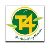 T4 icon