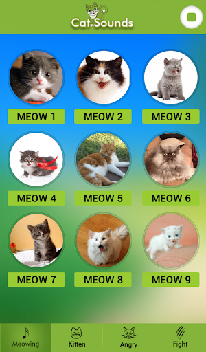 Cat Sounds Screen 2
