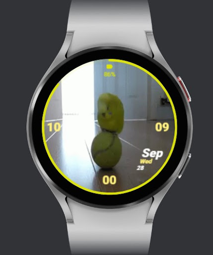 Android application FURRY FRIENDS - BIRD screenshort
