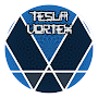 Tesla Vortex