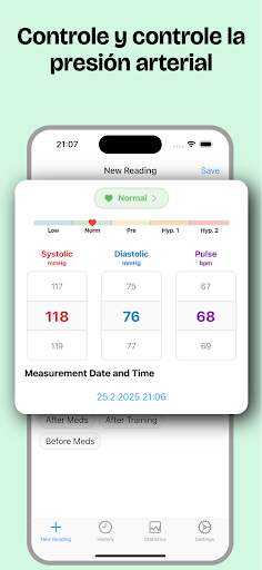 Vista previa de la aplicación