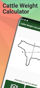 Cattle Weight Calculator Unknown