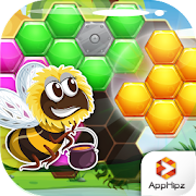 Honey Bee: Hexagon Hive Puzzle