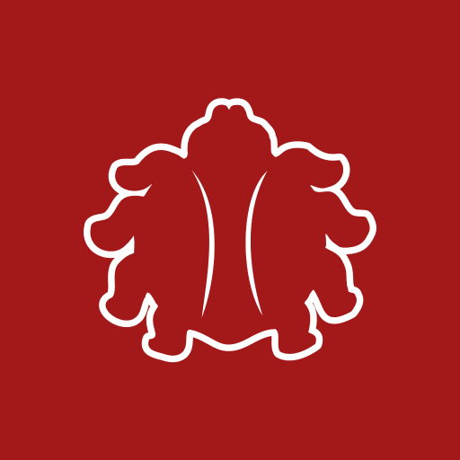 Fordyce Red Bugs logo