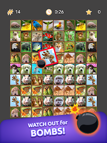 Onnect - Pair Matching Puzzle 39.2.0 (arm-v7a) APK Download by Zynga -  APKMirror