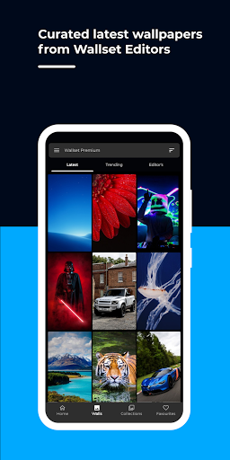 Wallset - AI Wallpaper Changer Screen 2