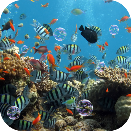 Aquarium Live Wallpaper Laai af op Windows