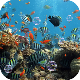 Gambar ikon Aquarium Live Wallpaper