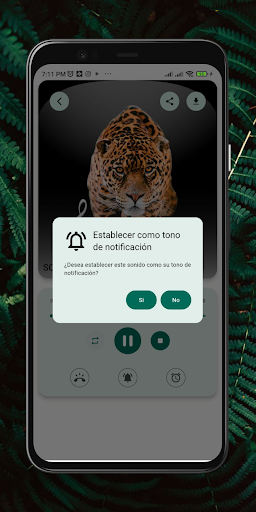 Animal sounds Ringtones Screenshot 4 - AppWisp.com