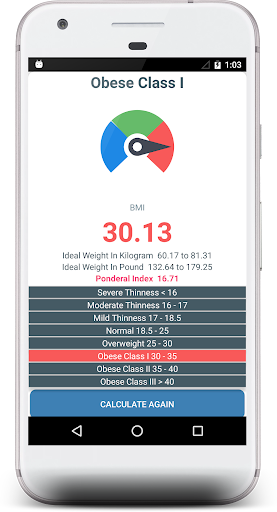 BMI Calculator - Ideal Weight Screen 2