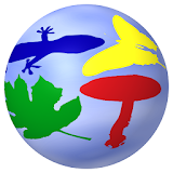 BioGuide - World Field Guide icon