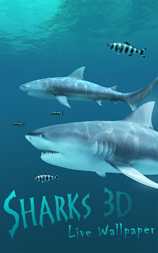 Sharks 3D - Live Wallpaperのおすすめ画像5