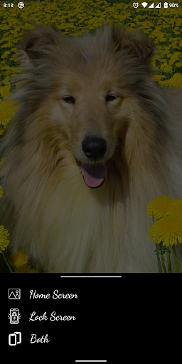 Dog & Puppy HD Wallpapers Screen 3