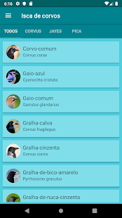 Visualização do aplicativo