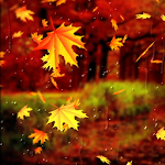 Cover Image of 下载 Beautiful Autumn Wallpaper  APK
