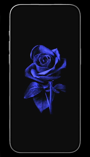 Black Wallpapers HD Screen 3