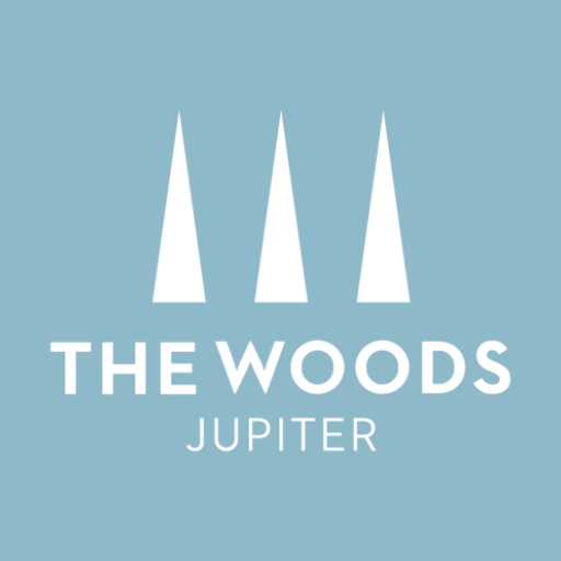 The Woods Jupiter 1.3 Icon