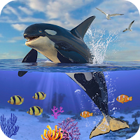 Orca Simulator: Killer Whale Simulator Game