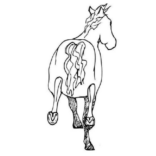 Innova Horse Care App logo