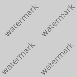 Picture Watermark icon