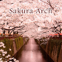 Симпатичные обои Sakura Arch