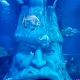 3D Fish Aquarium Live Wallpaper PRO Baixe no Windows