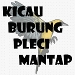 Cover Image of Download KICAU BURUNG PLECI MANTAP  APK