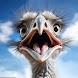 Ostrich Wild Animal Hunting 3d - Androidアプリ