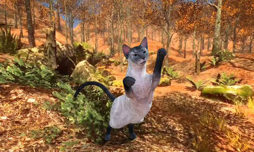 Talking Blue Siamese Cat Screen 3