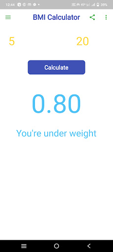 BMI Calculator Kg Screen 3