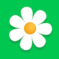 Flor2U – заказ и экспресс доставка цветов