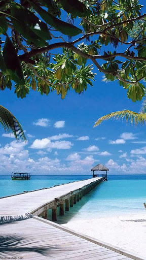 Beach Live Wallpaper Screen 3