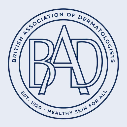 BAD2023 logo
