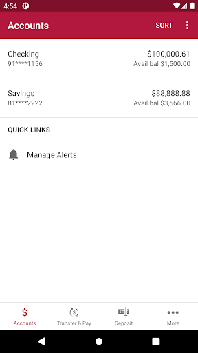 Central State Bank IL Screen 3