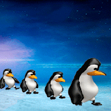 Penguins Live Wallpaper icon