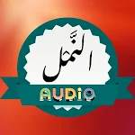 Cover Image of Descargar Surah Naml Audio  APK