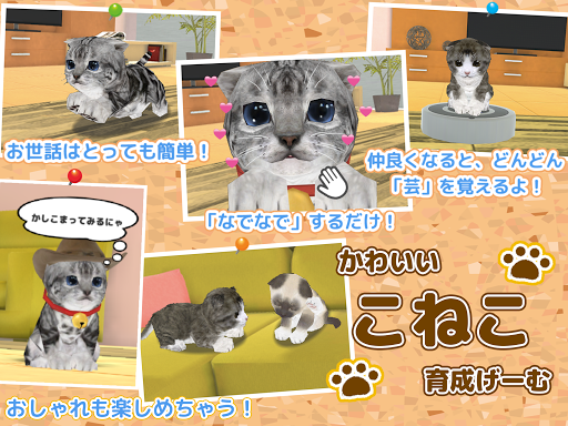 Download ねこ育成ゲーム 完全無料 子猫をのんびり育てるアプリ かわいいねこゲーム On Pc Mac With Appkiwi Apk Downloader